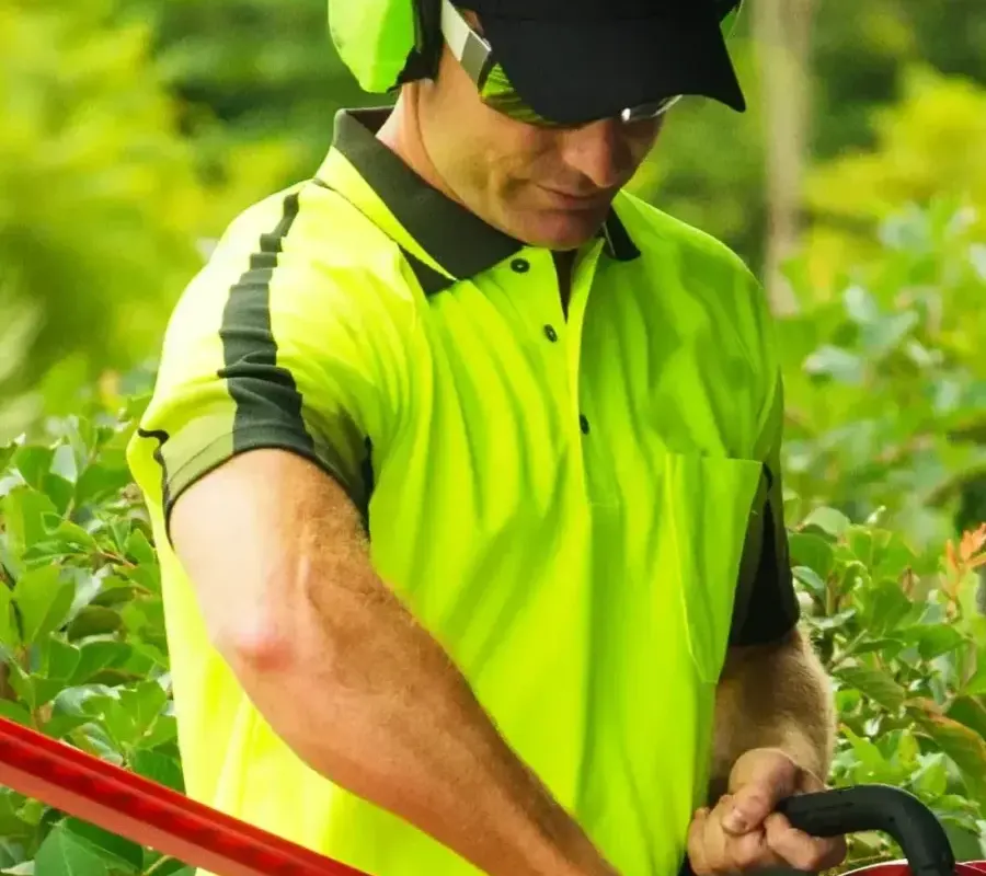 Lawn Mowing and Gardening ACT featured image || "featured image"